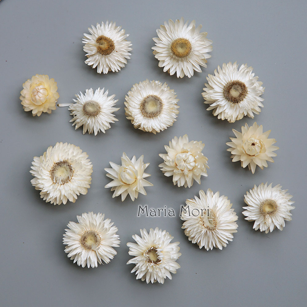 Natural Dried Colorful Chrysan - огляд і ціна Baby Product
