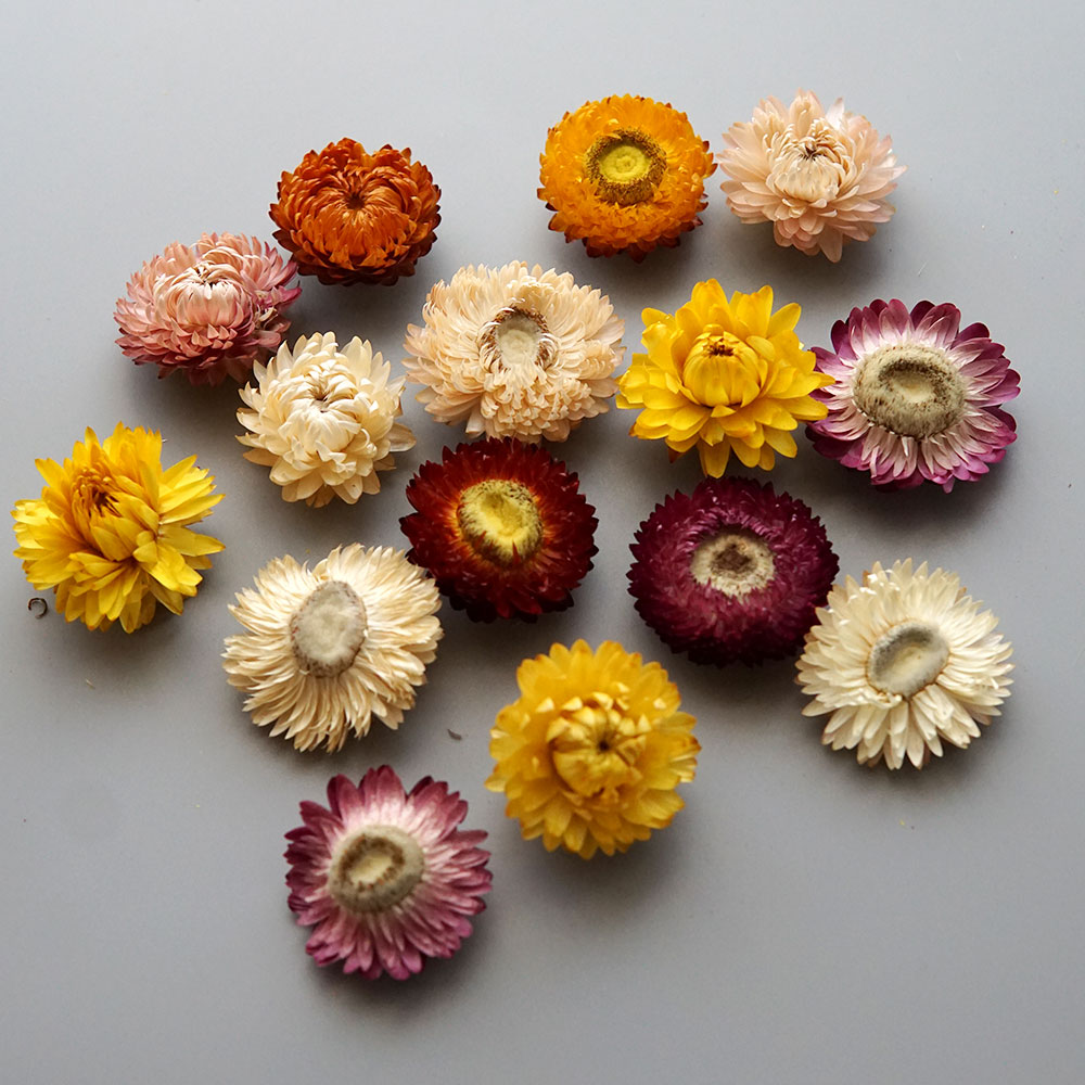 Natural Dried Colorful Chrysan - огляд і ціна Baby Product