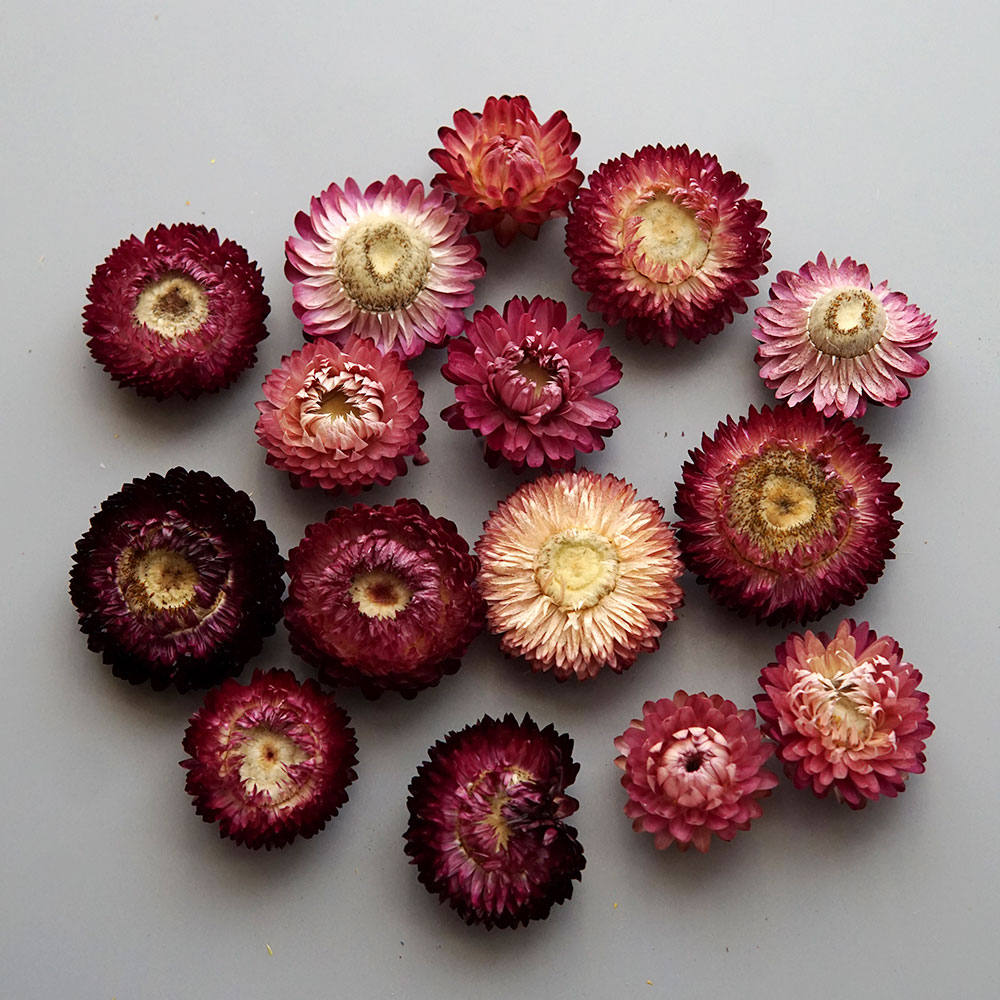Natural Dried Colorful Chrysan - огляд і ціна Baby Product