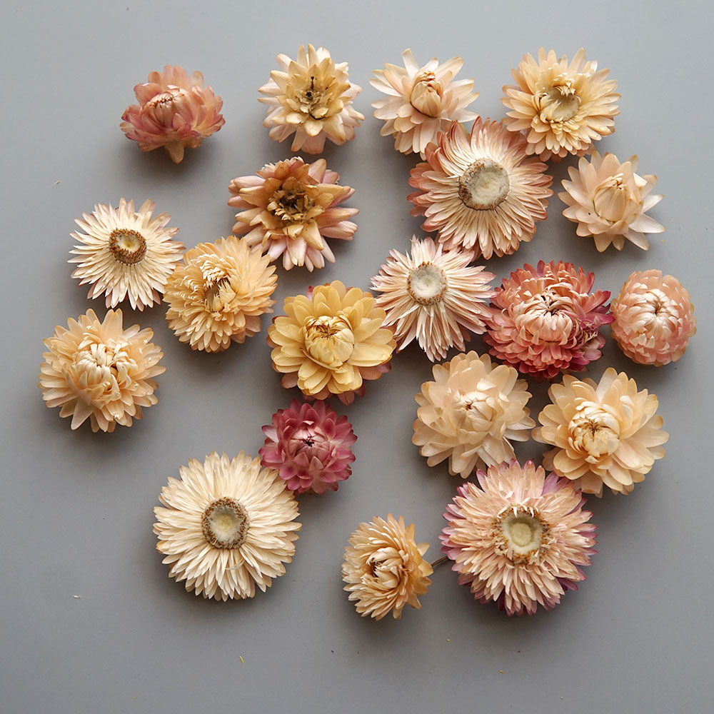Natural Dried Colorful Chrysan - огляд і ціна Baby Product